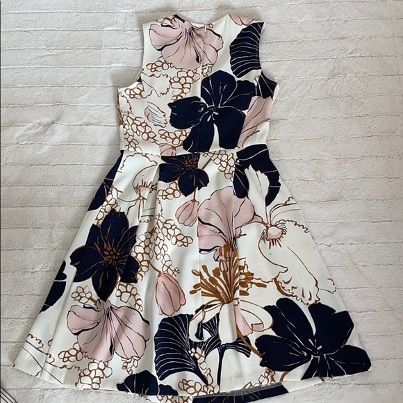 Ann Taylor Flare Dress with Pleats - Picture 3 of 5